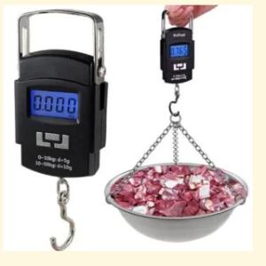 Digital Weight Machine